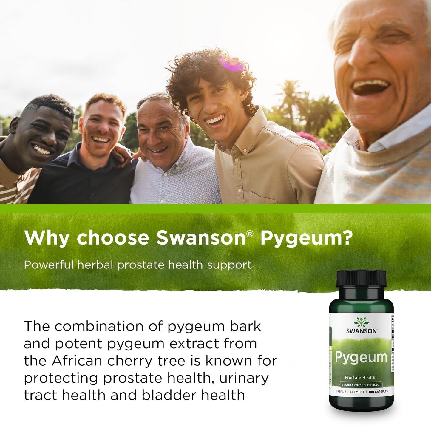 Swanson Pygeum 500 Milligrams 100 Capsules